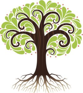 4jqrr4.p5kejr.im .lg  269x300 - Psychologen zeggen dat de boom waar je oog naar toe wordt getrokken je dominante karaktereigenschap onthult
