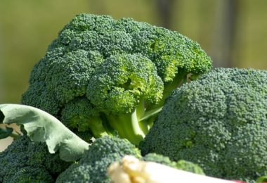 Waarom broccoli zo’n top groente is!