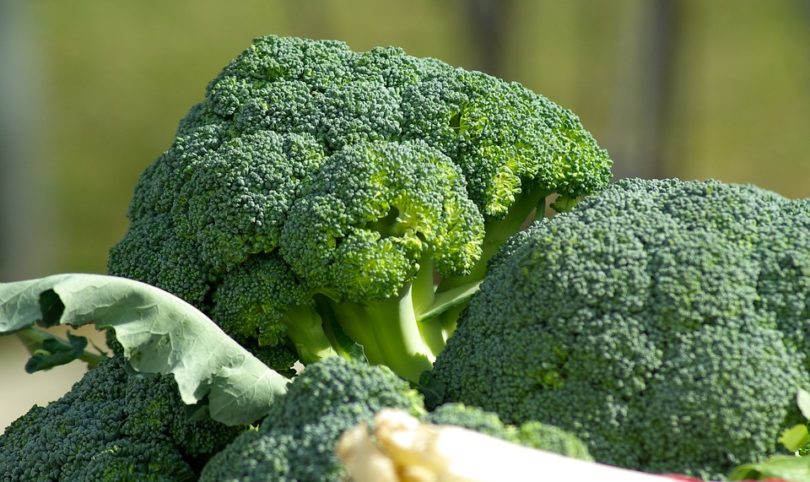 Waarom broccoli zo’n top groente is!